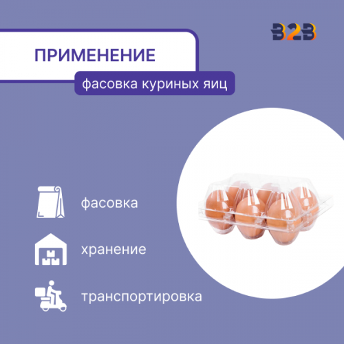 Упаковка для куриных яиц, 6 ячеек (пластик)
