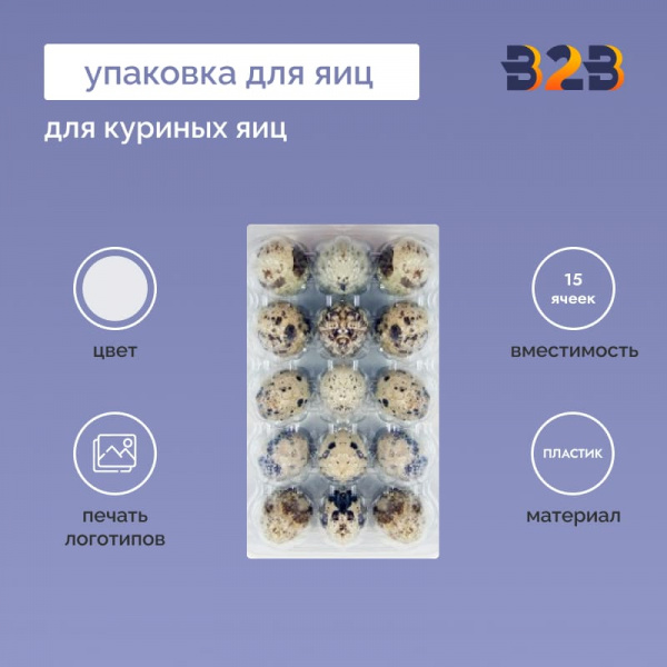 Упаковка для куриных яиц, 15 ячеек (пластик)