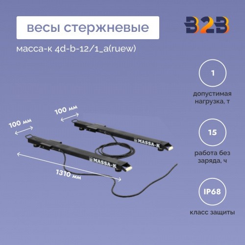Весы стержневые МАССА-К 4D-B-12/1_A(RUEW)