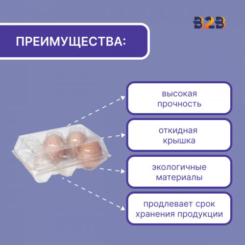 Упаковка для куриных яиц, 6 ячеек (пластик)