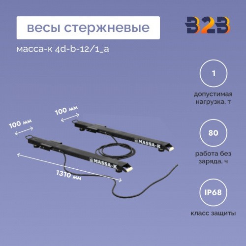 Весы стержневые МАССА-К 4D-B-12/1_А